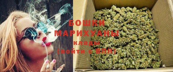ГАЛЛЮЦИНОГЕННЫЕ ГРИБЫ Балахна